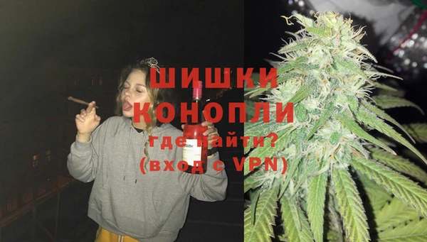 Альфа ПВП Аркадак