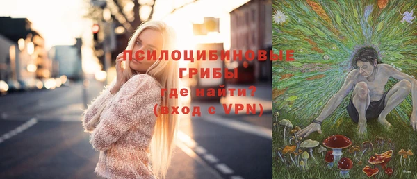 гашик Армянск