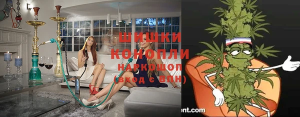 Альфа ПВП Аркадак