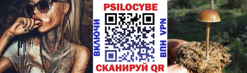 ОМГ ОМГ сайт  Нижний Ломов  Псилоцибиновые грибы мицелий 